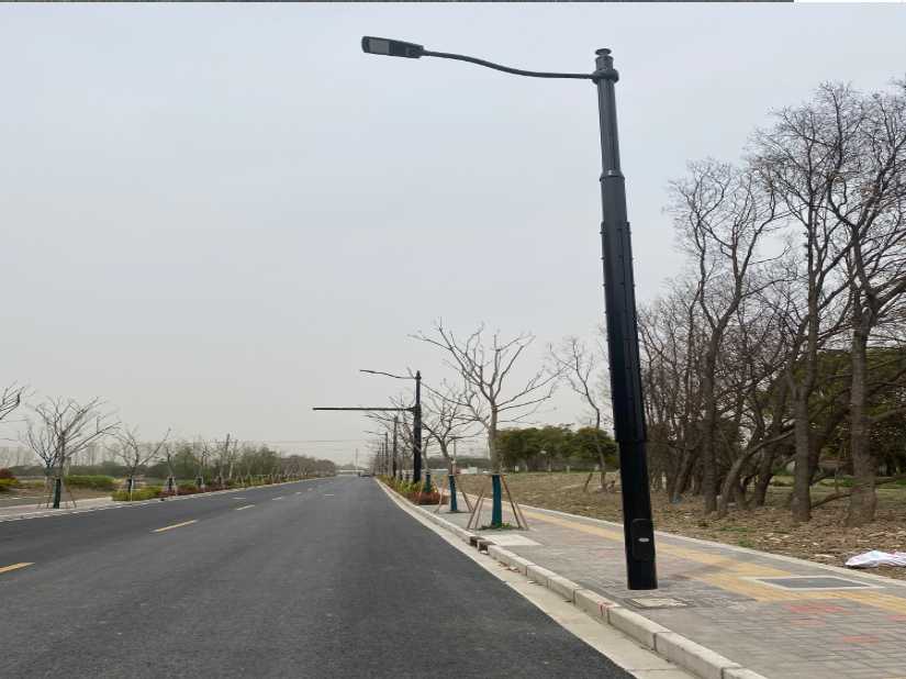 墨江哈尼族自治县上海综合杆 太阳能路灯工程